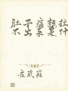 肚子痛想拉屎拉不出来是什么原因