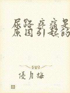 尿路疼痛是什么原因引起的