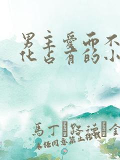 男主爱而不得黑化占有的小说