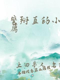 弯掰直的小说推荐