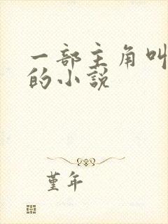 一部主角叫叶凡的小说