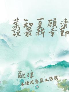 叶知夏顾清淮小说最新章节免费阅读