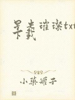 星光璀璨txt下载