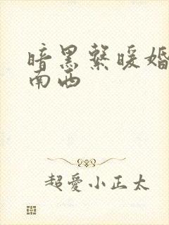 暗黑系暖婚 顾南西