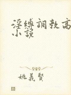 淫缚调教高潮的小说