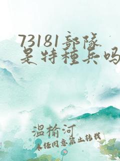 73181部队是特种兵吗