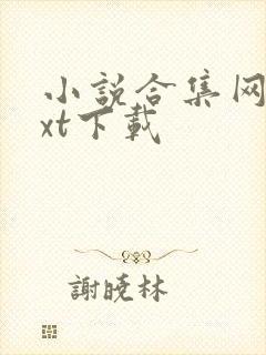 小说合集网盘txt下载