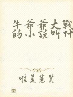 牛爷爷大战小丽的小说叫什么