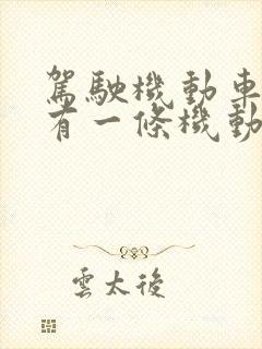 驾驶机动车在只有一条机动车道的城市道路