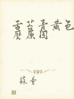 舌苔青黄色是什么原因