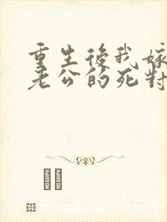 重生后我嫁给了老公的死对头 短剧