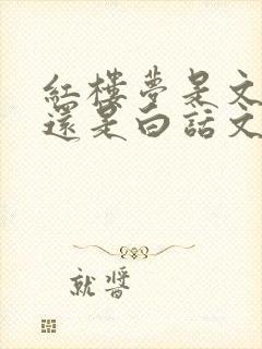 红楼梦是文言文还是白话文