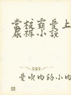 当校霸爱上穿纸尿裤小说