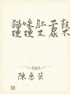 猫咪肚子鼓鼓的硬硬又尿不出怎么回事