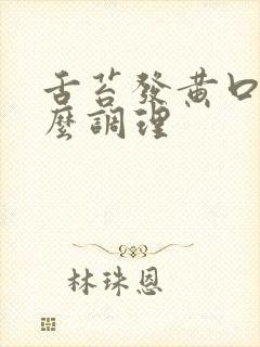 舌苔发黄口苦怎么调理