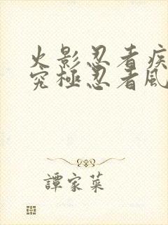 火影忍者疾风传究极忍者风暴