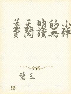 叶天明的小说免费阅读无弹窗