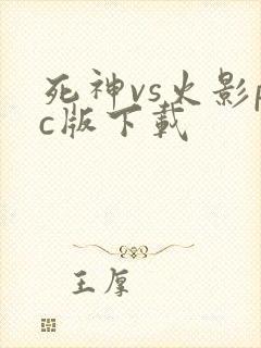 死神vs火影pc版下载
