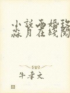 小说两婚玫瑰林淼月在线阅读