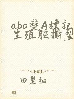 abo双A标记生殖腔撕裂