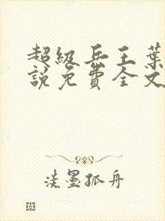 超级兵王叶谦小说免费全文下载