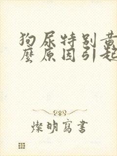 狗尿特别黄是什么原因引起的