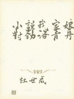 小说我家娘子不对劲洛青舟完结