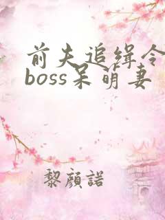前夫追缉令腹黑boss呆萌妻