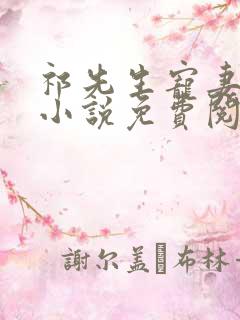 祁先生宠妻无度小说免费阅读