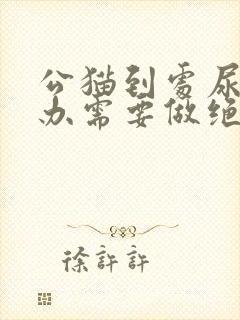 公猫到处尿怎么办需要做绝育吗