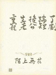 重生后踹了渣男宠老公短剧