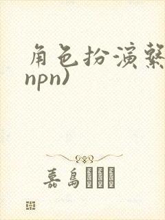 角色扮演系统(npn)