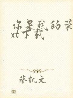 你是我的荣耀txt下载