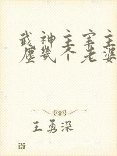 武神主宰主角秦尘几个老婆