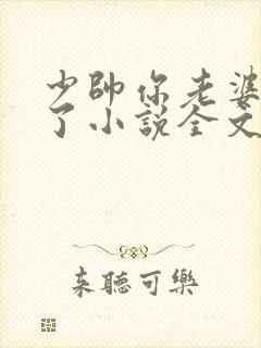 少帅你老婆又跑了小说全文免费阅读