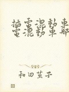 插电混动车和油电混动车哪个好