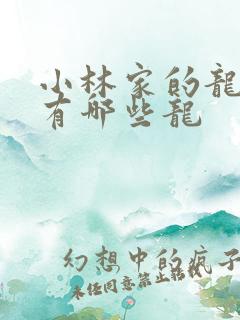 小林家的龙女仆有哪些龙