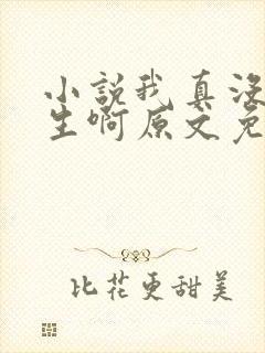 小说我真没想重生啊原文免费阅读