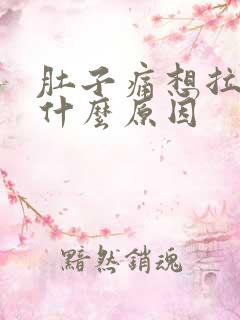 肚子痛想拉大便什么原因