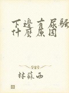 下边有尿骚味是什么原因