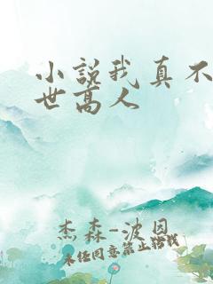 小说我真不是隐世高人