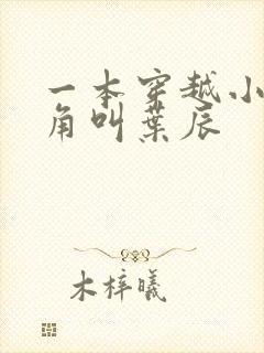 一本穿越小说主角叫叶辰