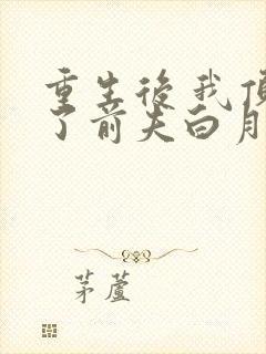 重生后 我顶替了前夫白月光