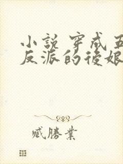 小说 穿成五个反派的后娘