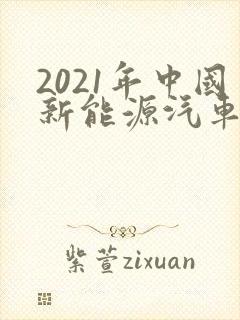 2021年中国新能源汽车