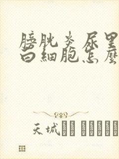 膀胱炎尿里没有白细胞怎么办