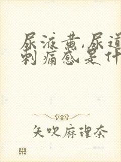 尿液黄,尿道口刺痛感是什么原因