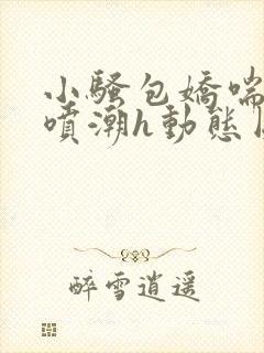 小骚包娇喘抽搐喷潮h动态图小说