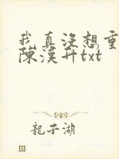 我真没想重生啊陈汉升txt