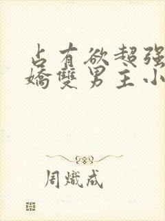 占有欲超强的病娇双男主小说攻受